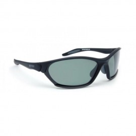 Lentes Bertoni P338A Hidrofobicos-Gris - Envío Gratuito