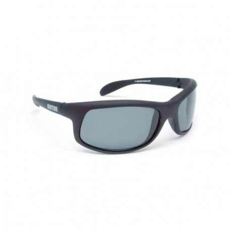 Lentes Bertoni P545A Lens-Negro Gris - Envío Gratuito