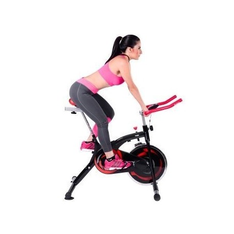 Bicicleta Fija Spin Bike Ergom - Envío Gratuito