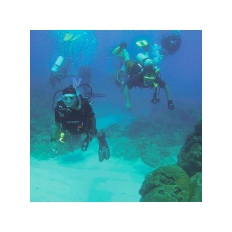 Buceo - Querétaro - Envío Gratuito