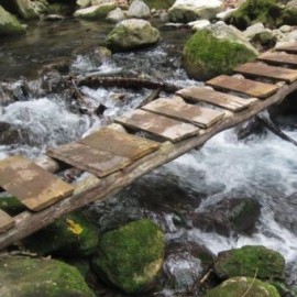 Tour en la Sierra Gorda de Querétaro - Envío Gratuito