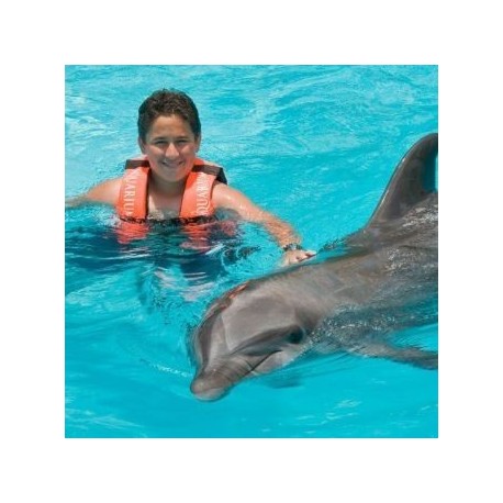 Encuentro con Delfines en Cancún - Envío Gratuito