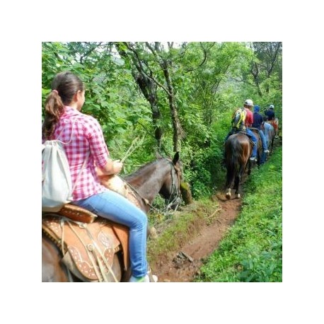 Cabalgata en Malinalco - Envío Gratuito